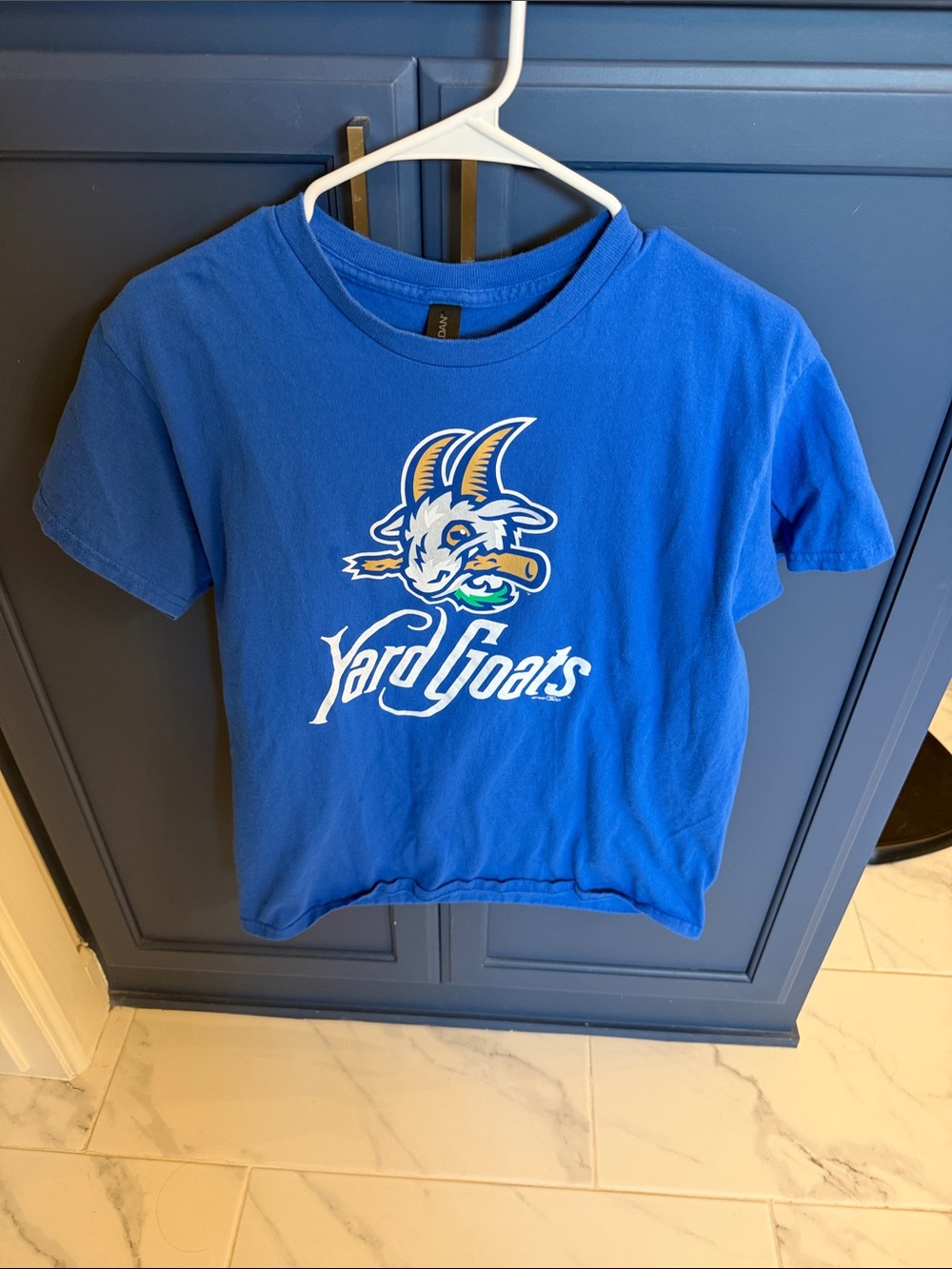 Gently used yard goats tee